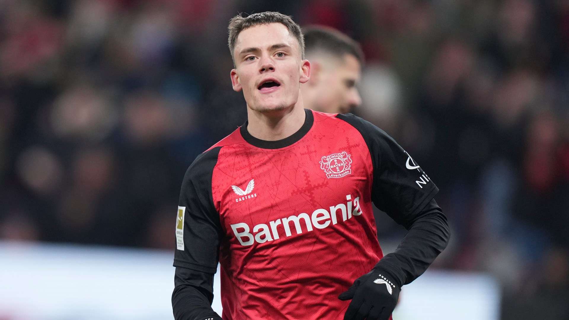 不少专家认 不少专家认